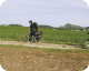 À bicyclette!
