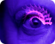 Brainwashed: