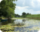 Im Fluss des Lebens