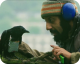 Four Lions