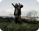Four Lions