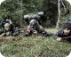 Four Lions