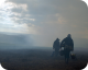 God's Own Country