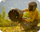 Honeyland