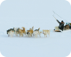 Inuk