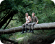 Les Combattants