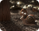 Memoir of a Snail