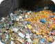 Taste the Waste