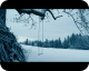 Wald