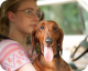 Wiener-Dog
