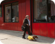 Wiener-Dog