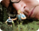 Wunderland – Vom Kindheitstraum zum Welterfolg